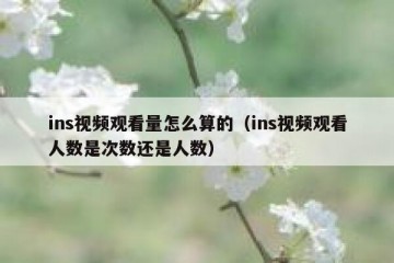 ins视频观看量怎么算的（ins视频观看人数是次数还是人数）