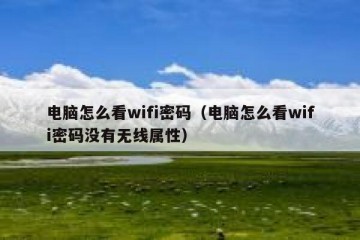 电脑怎么看wifi密码（电脑怎么看wifi密码没有无线属性）