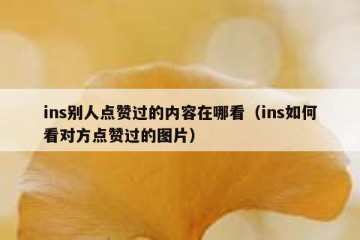 ins别人点赞过的内容在哪看（ins如何看对方点赞过的图片）