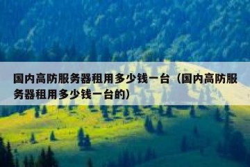 国内高防服务器租用多少钱一台（国内高防服务器租用多少钱一台的）