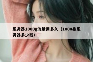 服务器1000g流量用多久（1000兆服务器多少钱）