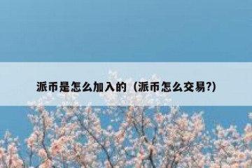 派币是怎么加入的（派币怎么交易?）