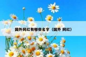 国外网红有哪些名字（国外 网红）