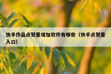 快手作品点赞量增加软件有哪些（快手点赞量入口）