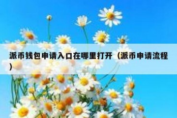 派币钱包申请入口在哪里打开（派币申请流程）