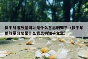 快手加播放量网址是什么意思啊知乎（快手加播放量网址是什么意思啊知乎文章）