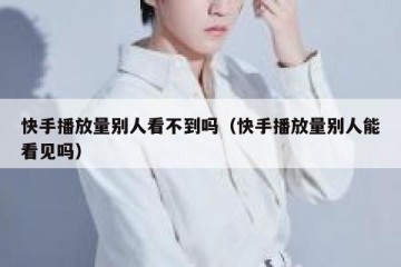 快手播放量别人看不到吗（快手播放量别人能看见吗）