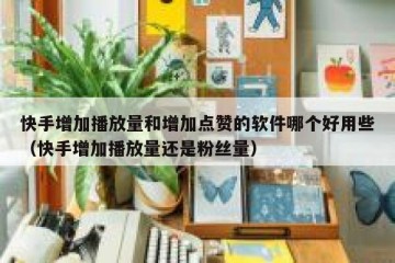 快手增加播放量和增加点赞的软件哪个好用些（快手增加播放量还是粉丝量）