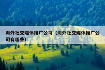 海外社交媒体推广公司（海外社交媒体推广公司有哪些）
