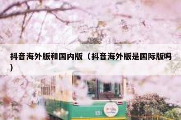 抖音海外版和国内版（抖音海外版是国际版吗）