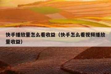 快手播放量怎么看收益（快手怎么看视频播放量收益）