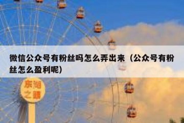 微信公众号有粉丝吗怎么弄出来（公众号有粉丝怎么盈利呢）