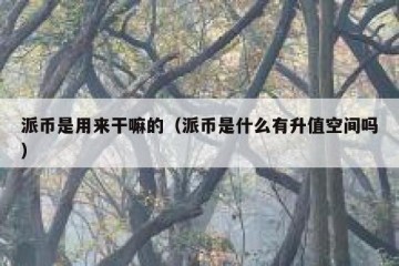 派币是用来干嘛的（派币是什么有升值空间吗）