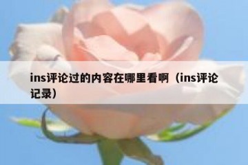 ins评论过的内容在哪里看啊（ins评论记录）