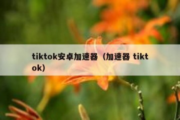 tiktok安卓加速器（加速器 tiktok）