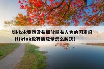 tiktok突然没有播放量有人为的因素吗（tiktok没有播放量怎么解决）