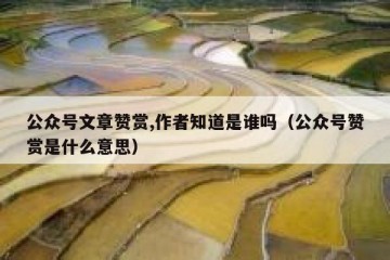 公众号文章赞赏,作者知道是谁吗（公众号赞赏是什么意思）