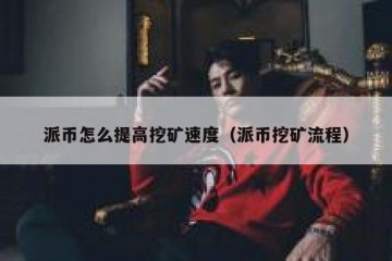 派币怎么提高挖矿速度（派币挖矿流程）
