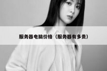 服务器电脑价格（服务器有多贵）