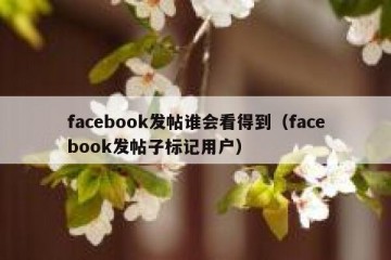 facebook发帖谁会看得到（facebook发帖子标记用户）