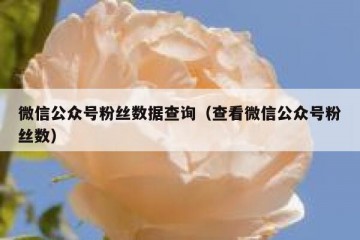 微信公众号粉丝数据查询（查看微信公众号粉丝数）