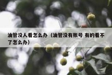 油管没人看怎么办（油管没有账号 有的看不了怎么办）