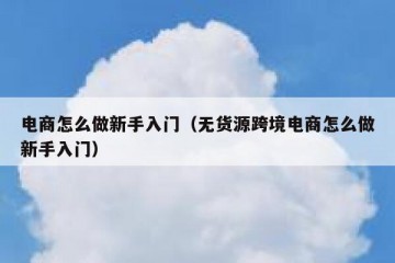 电商怎么做新手入门（无货源跨境电商怎么做新手入门）