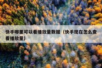 快手哪里可以看播放量数据（快手现在怎么查看播放量）