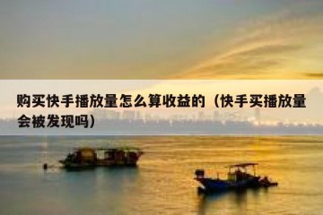 购买快手播放量怎么算收益的（快手买播放量会被发现吗）