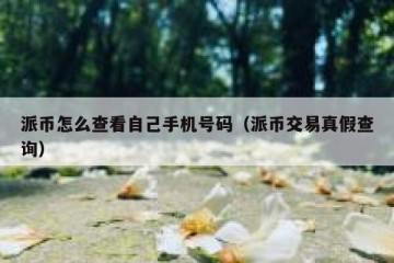 派币怎么查看自己手机号码（派币交易真假查询）