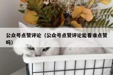公众号点赞评论（公众号点赞评论能看谁点赞吗）