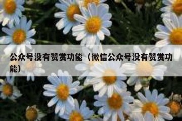 公众号没有赞赏功能（微信公众号没有赞赏功能）
