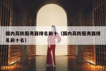 国内高防服务器排名前十（国内高防服务器排名前十名）