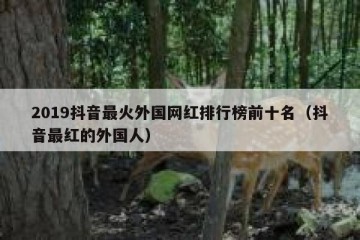 2019抖音最火外国网红排行榜前十名（抖音最红的外国人）