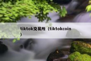 tiktok交易所（tiktokcoin）