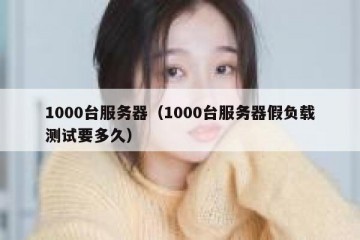 1000台服务器（1000台服务器假负载测试要多久）
