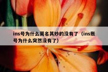 ins号为什么莫名其妙的没有了（ins账号为什么突然没有了）