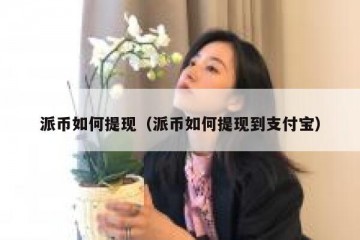 派币如何提现（派币如何提现到支付宝）