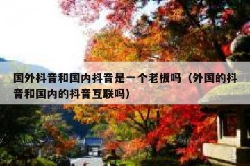 国外抖音和国内抖音是一个老板吗（外国的抖音和国内的抖音互联吗）