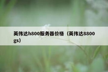 英伟达h800服务器价格（英伟达8800gs）