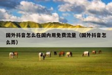 国外抖音怎么在国内用免费流量（国外抖音怎么弄）