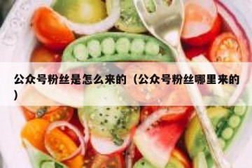 公众号粉丝是怎么来的（公众号粉丝哪里来的）