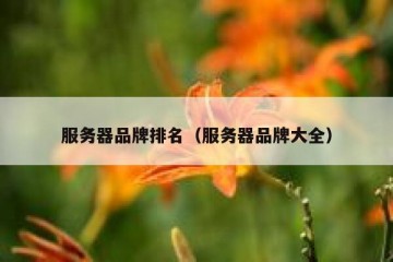 服务器品牌排名（服务器品牌大全）