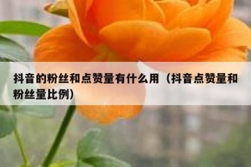 抖音的粉丝和点赞量有什么用（抖音点赞量和粉丝量比例）