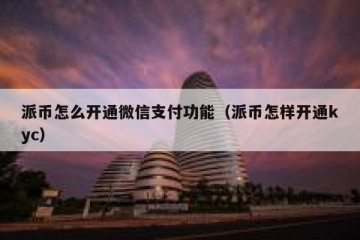 派币怎么开通微信支付功能（派币怎样开通kyc）