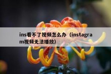 ins看不了视频怎么办（instagram视频无法播放）