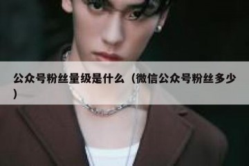 公众号粉丝量级是什么（微信公众号粉丝多少）