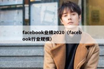 facebook业绩2020（facebook行业规模）