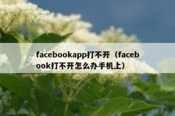 facebookapp打不开（facebook打不开怎么办手机上）