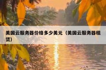 美国云服务器价格多少美元（美国云服务器租赁）